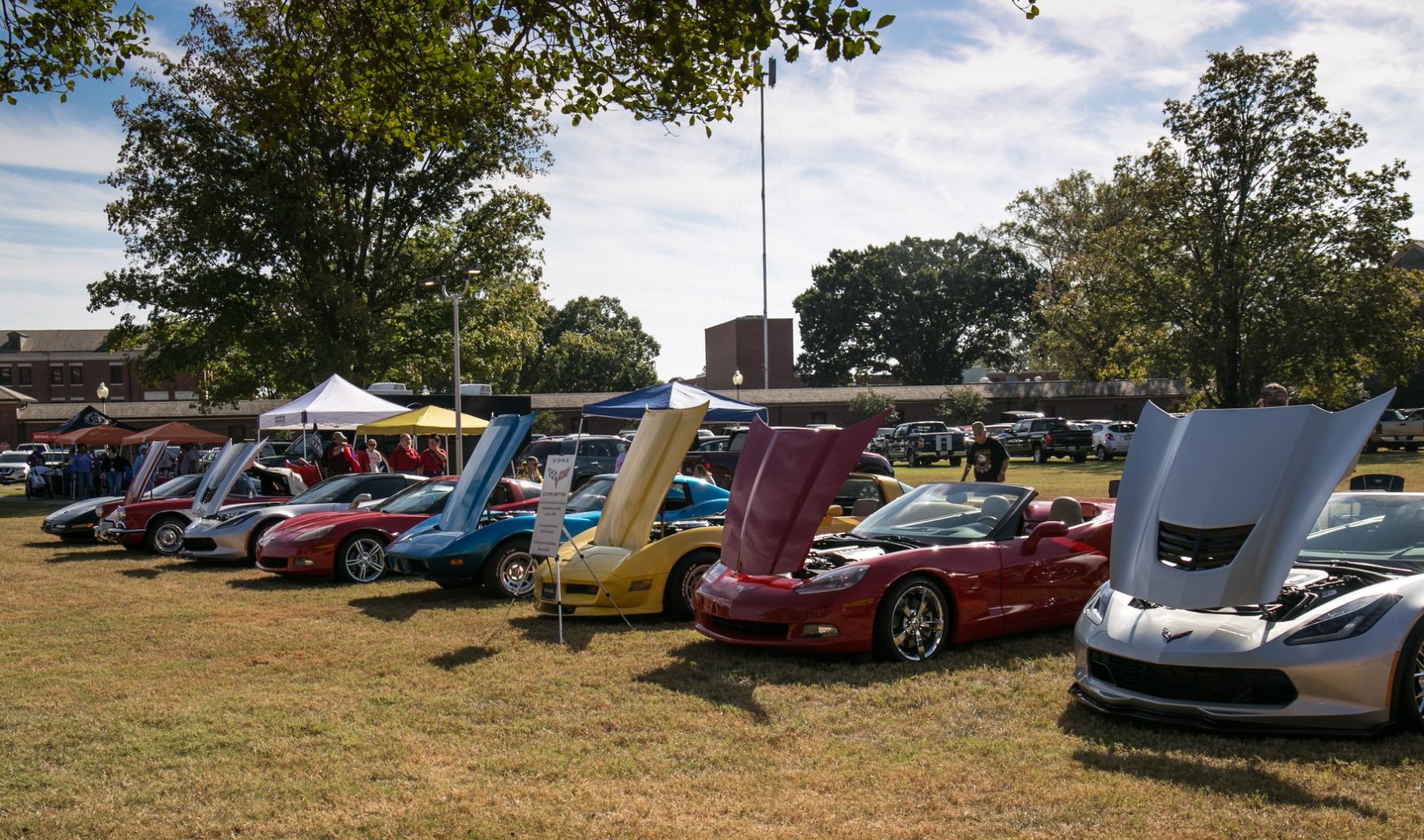 corvette 3.jpg